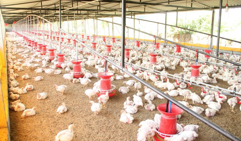 Ce instrumente moderne folosesc fermierii și agricultorii