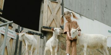 pexels-anastasia-shuraeva-7673842