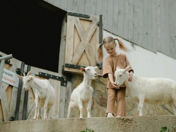 pexels-anastasia-shuraeva-7673842