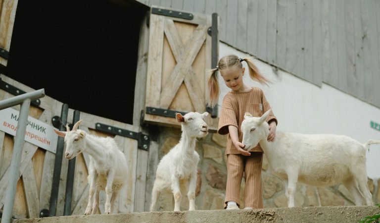 Sfaturi pentru fermieri de la Super Farm Land